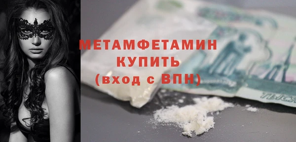 ПСИЛОЦИБИНОВЫЕ ГРИБЫ Вяземский