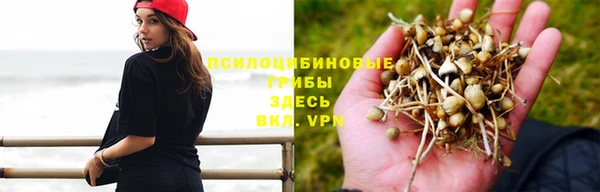 jwh Горнозаводск