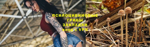 прущая мука Горно-Алтайск