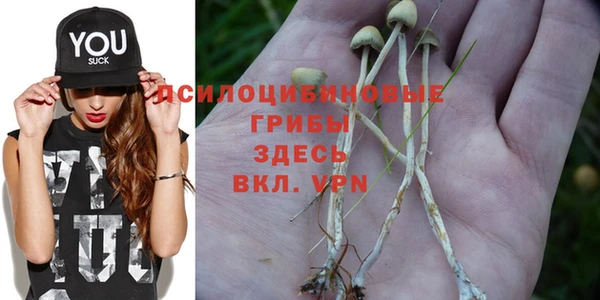 MESCALINE Горняк